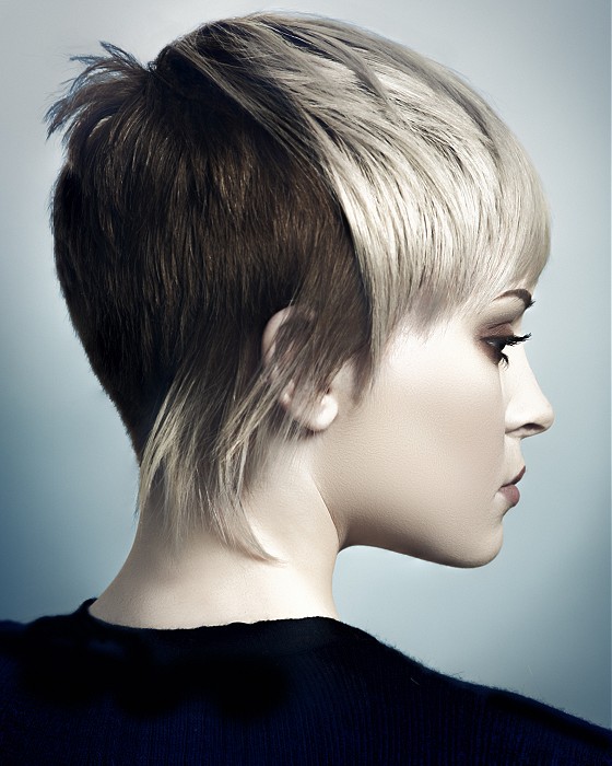 Paul Stafford Short Blonde Hairstyles